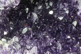 Purple Amethyst Cluster - Uruguay #66771-2